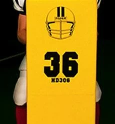 Budget 🌟 Fisher HD300 4" Full Body Football Shield 💯