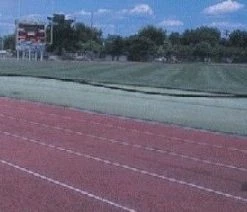 Cheap 🔔 Blazer Duo Overspeed Harness Training Aid ⌛