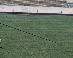 Best deal 🌟 Blazer Quick Explode Sled Football Trainer 🔔